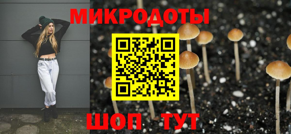 закладки  Галлюциногенные грибы Magic Shrooms  Вход с VPN  Полевской 
